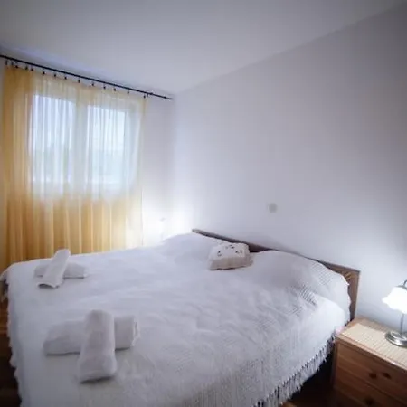 Apartman In Palit With Sea View, Terrace, Air Conditioning, Wi-fi Mundanije